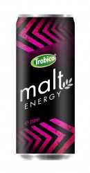 Malt energy alu can 250ml